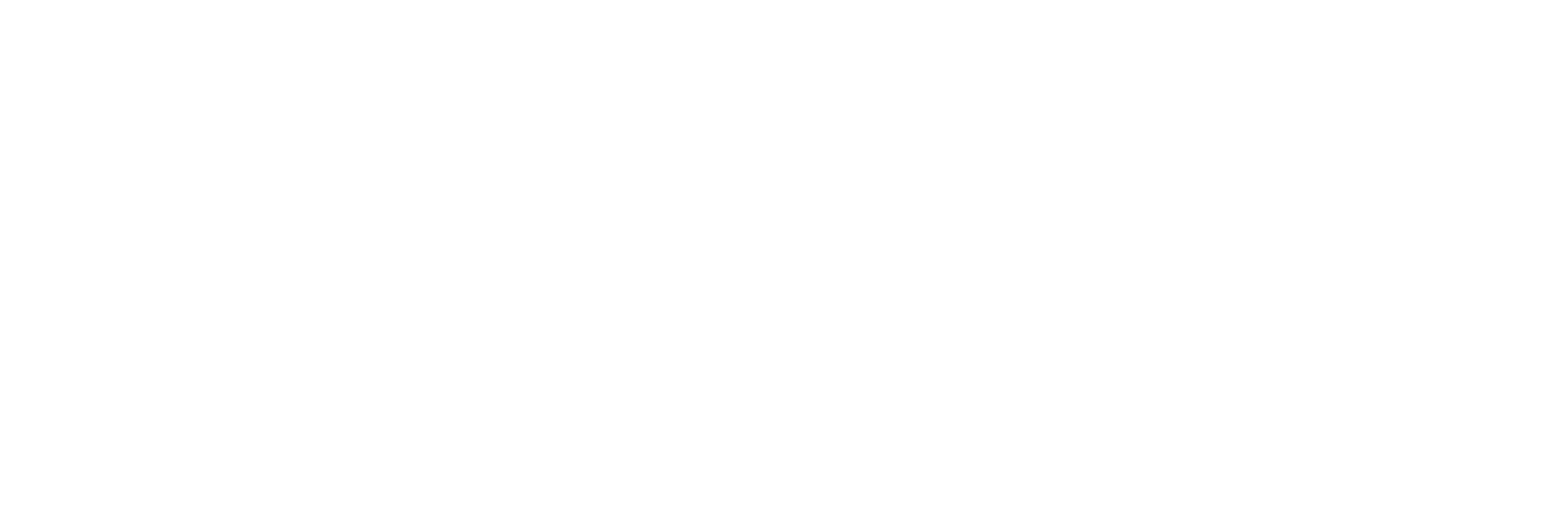 Logo White